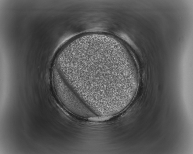 X0000086271356200704191916