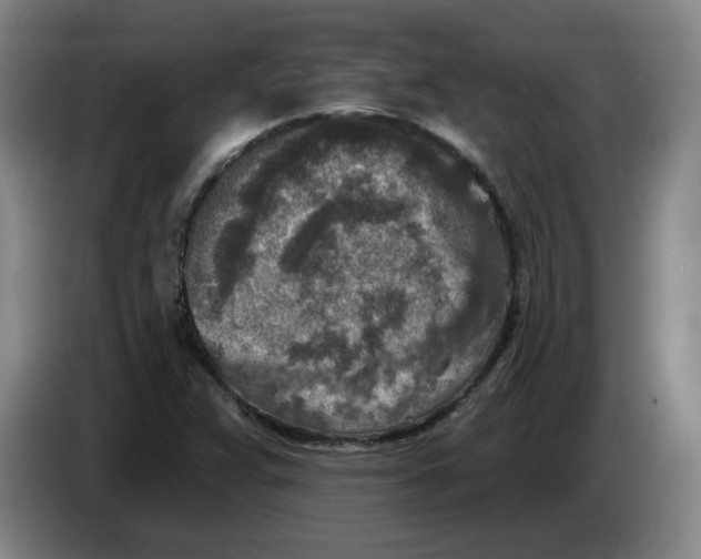 X0000086271359200704191916