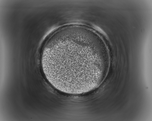 X0000086271360200704191916