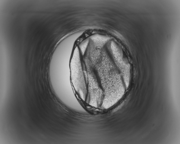 X0000086271361200704191916