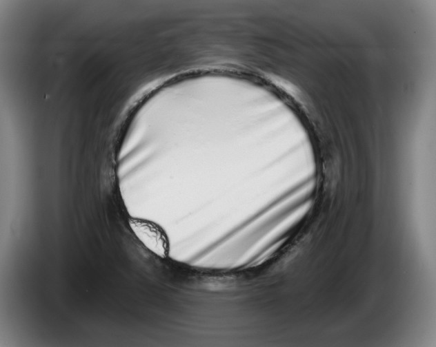 X0000086271363200704191916