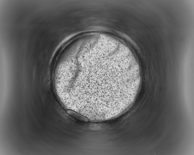 X0000086271364200704191916