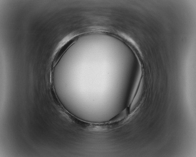 X0000086271365200704191916