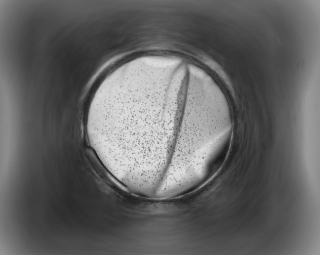 X0000086271368200704191916