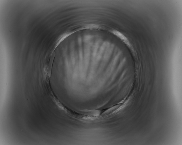 X0000086271369200704191916