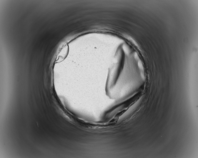 X0000086271371200704191916