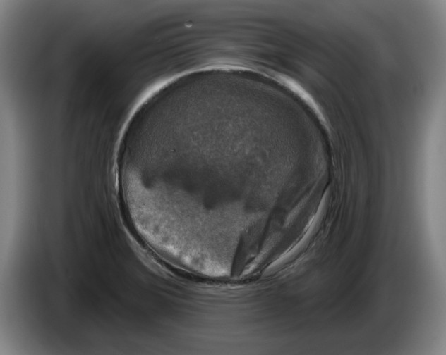 X0000086271372200704191916