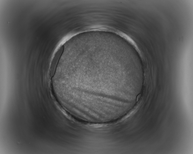 X0000086271373200704191916