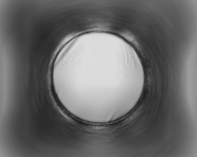 X0000086271375200704191916