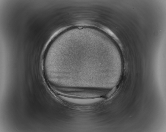 X0000086271376200704191916