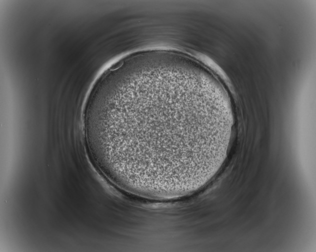 X0000086271380200704191916