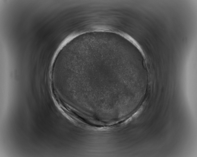 X0000086271381200704191915