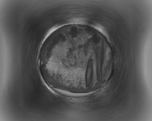 X0000086271383200704191915