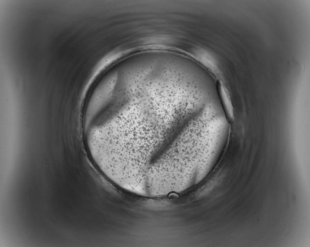 X0000086271384200704191915