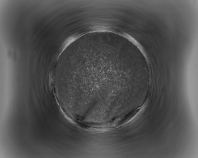 X0000086271385200704191915