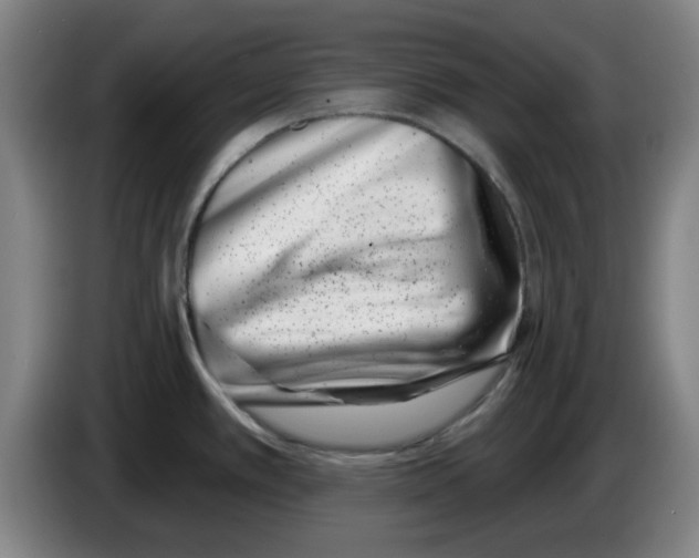 X0000086271389200704191915