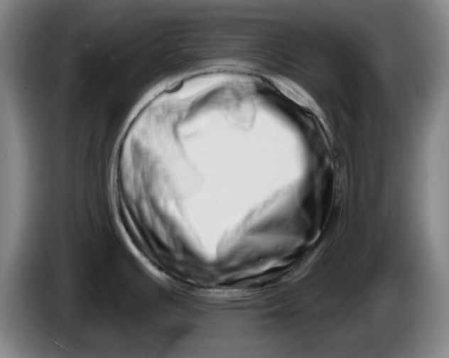 X0000086271391200704191915