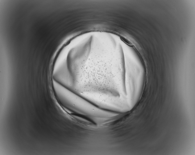 X0000086271392200704191915