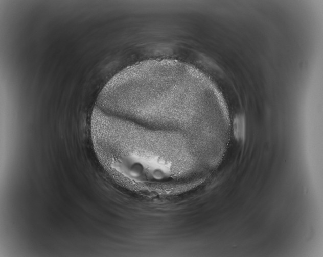 X0000086271395200704191915