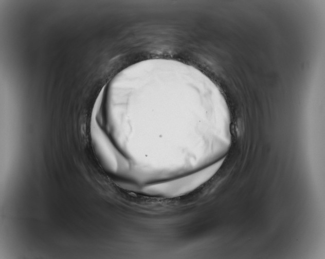 X0000086271396200704191915