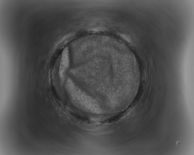 X0000086271398200704191915