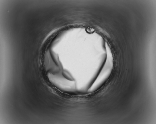 X0000086271400200704191915