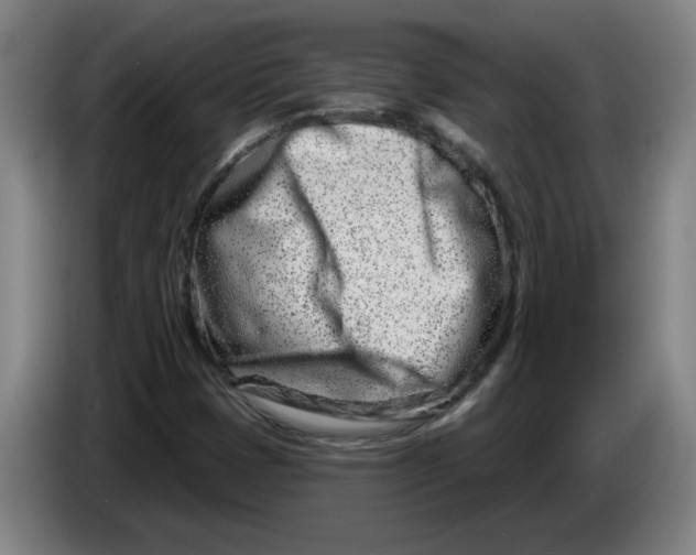 X0000086271401200704191915