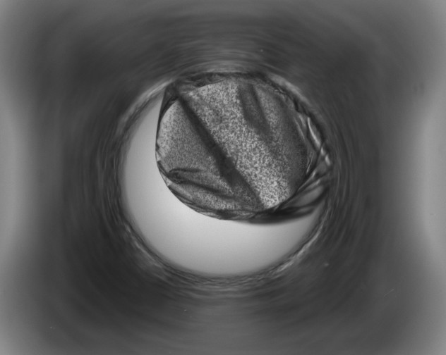 X0000086271402200704191915