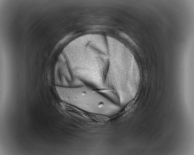 X0000086271403200704191915