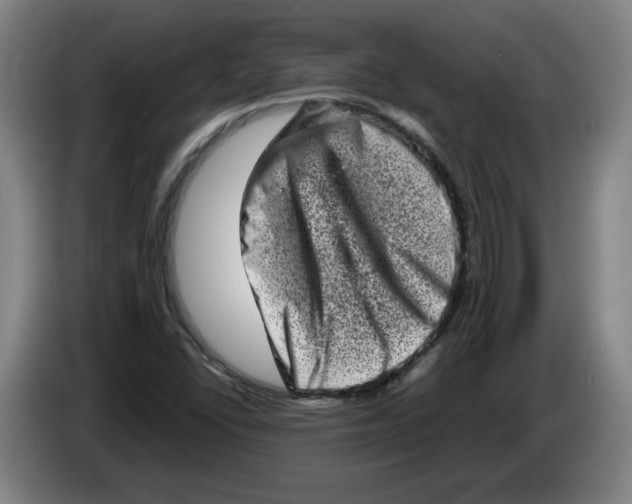 X0000086271406200704191915