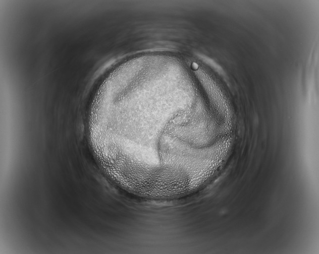 X0000086271407200704191915