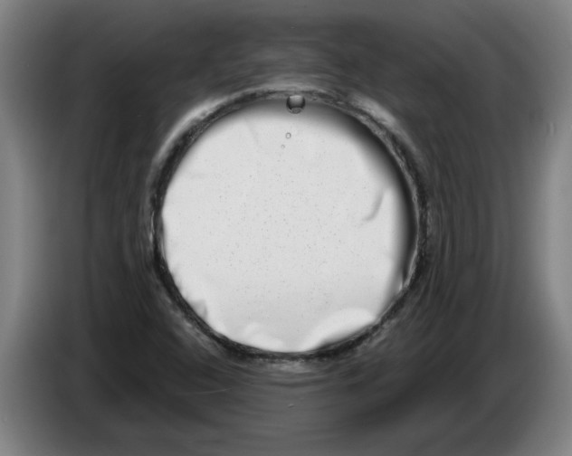 X0000086271408200704191915