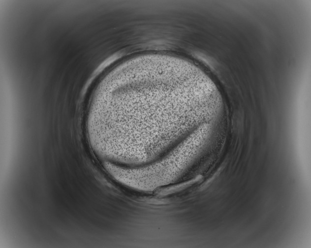 X0000086271410200704191915