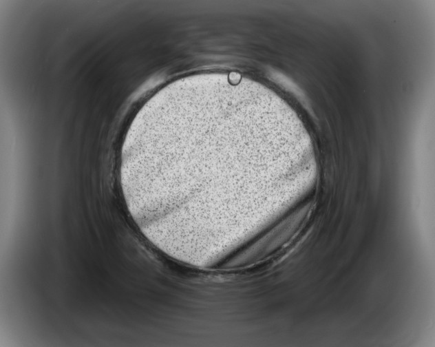 X0000086271411200704191915