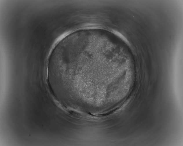 X0000086271413200704191915