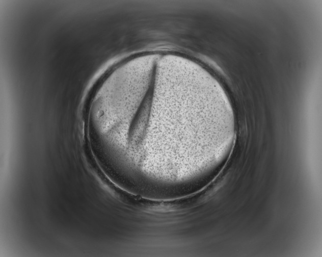 X0000086271414200704191915