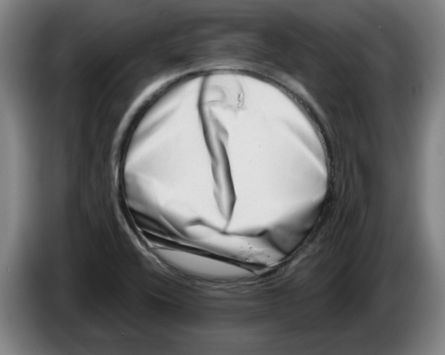 X0000086271416200704191915