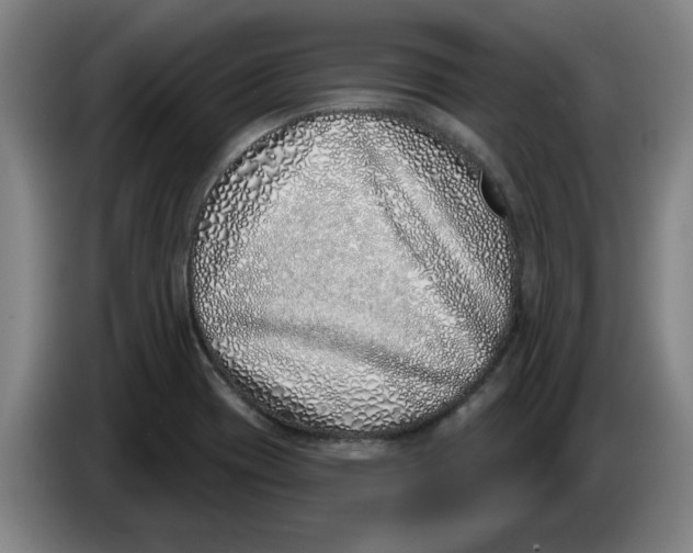 X0000086271417200704191915