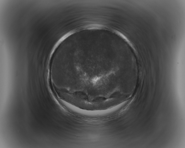 X0000086271418200704191915