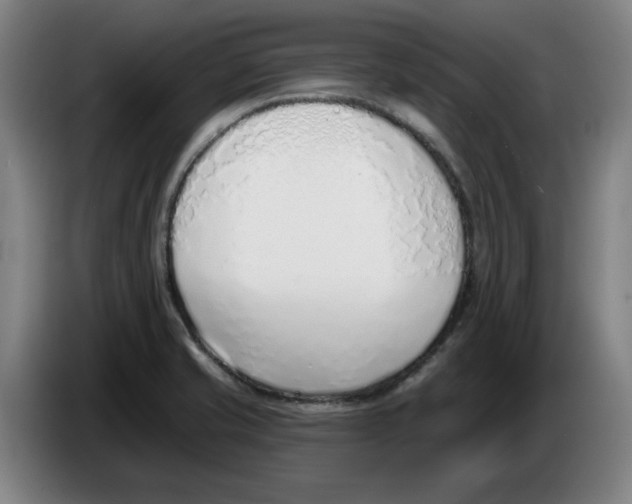 X0000086271421200704191915