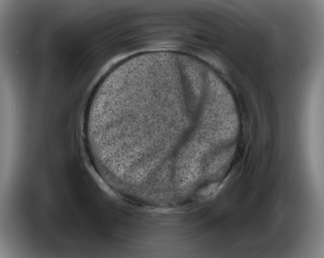 X0000086271422200704191915