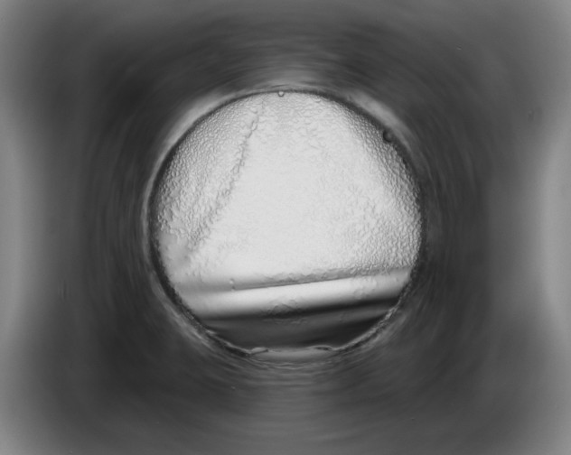 X0000086271423200704191915