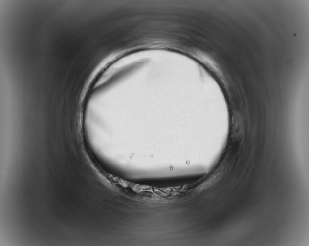 X0000086271424200704191915