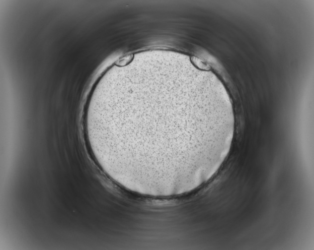 X0000086271427200704191915