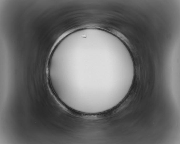 X0000086271428200704191915