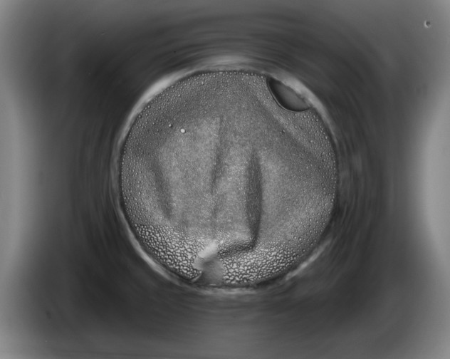 X0000086271429200704191915