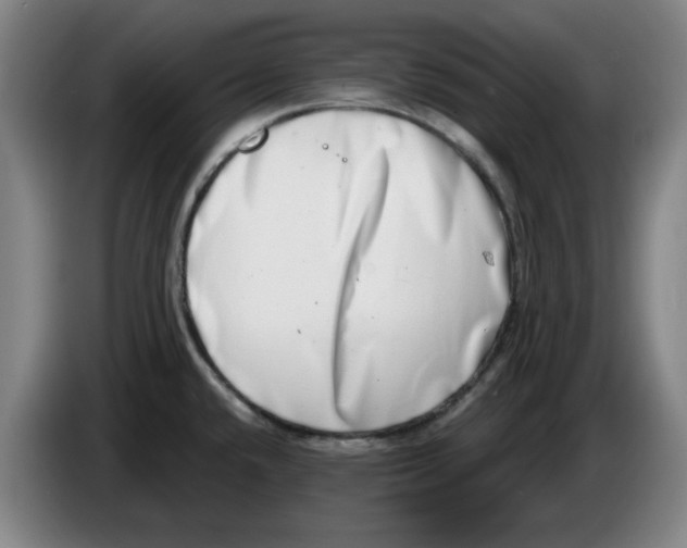 X0000086271432200704191915