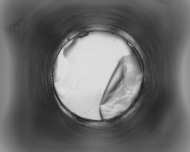 X0000086271433200704191915