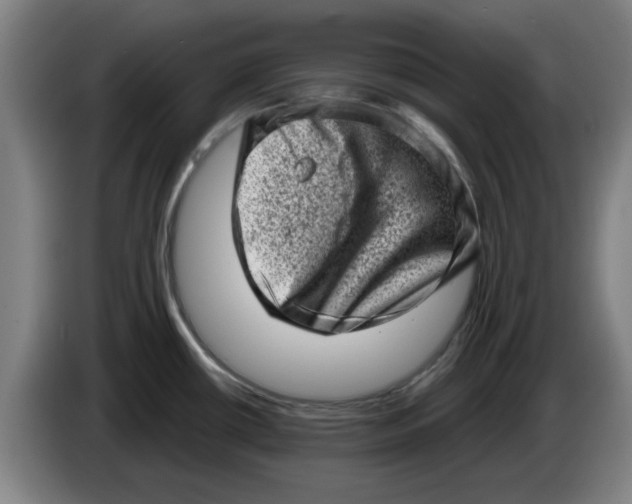 X0000086271434200704191915