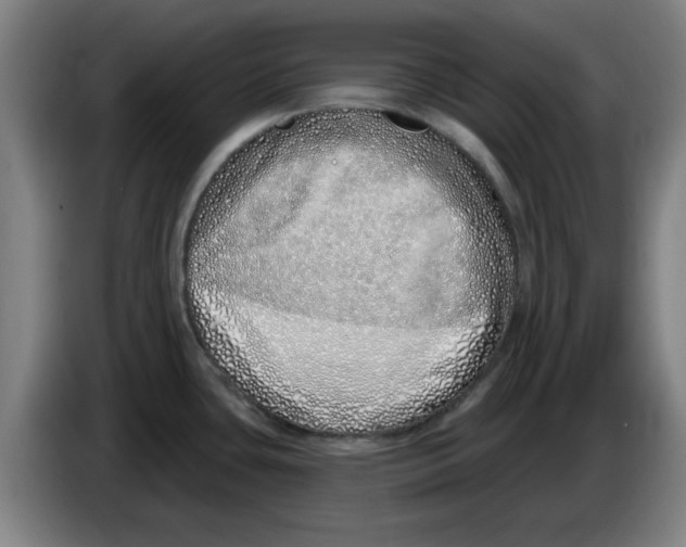 X0000086271435200704191915